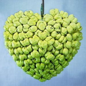 Groen hart van gedroogde pimpernoot bollen