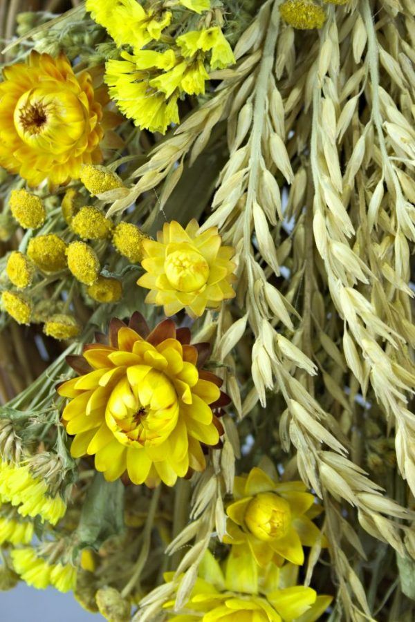 Droogbloemen krans geel close-up