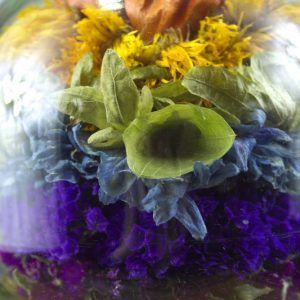 Close-up regenboog droogbloemen in glas