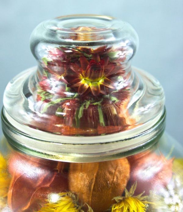Regenboog droogbloemen in glas detailopname