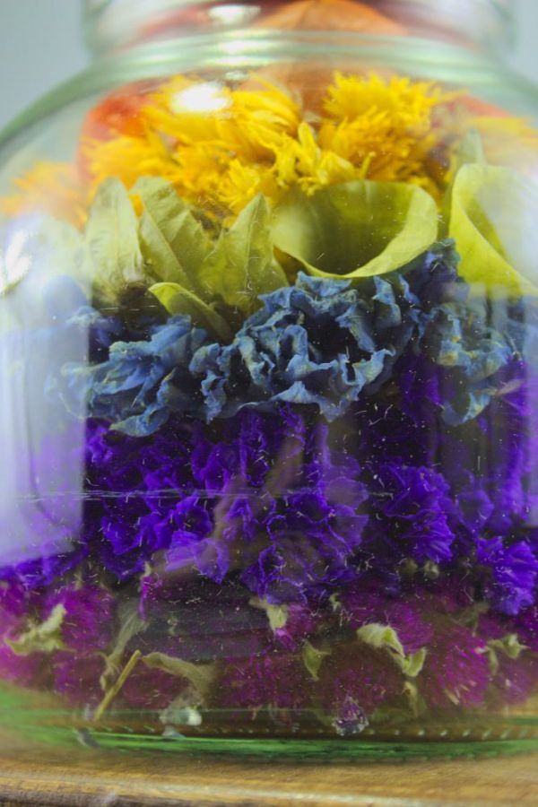 Regenboog droogbloemen in glas close-up