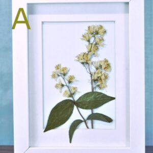 Wit fotolijstje met Deutzia droogbloemen