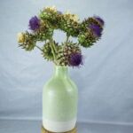Kardoen droogbloemen boeket in zachtgroene en witte vaas