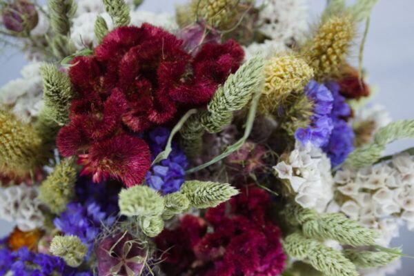 Close-up droogbloemen boeket pluimhanekam & blauwe lamsoor
